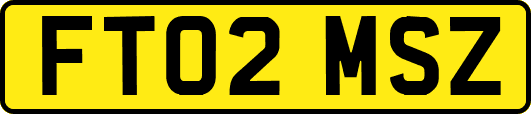 FT02MSZ