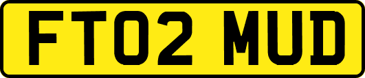 FT02MUD