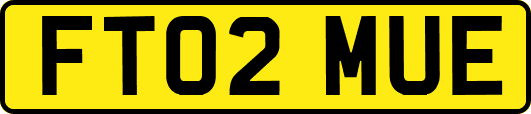 FT02MUE