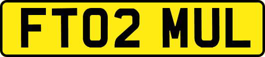 FT02MUL