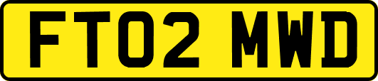 FT02MWD