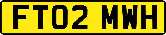 FT02MWH