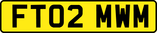 FT02MWM