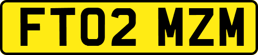 FT02MZM