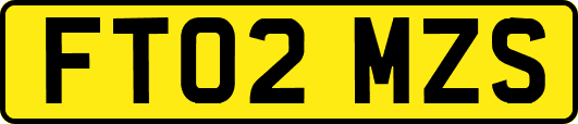 FT02MZS