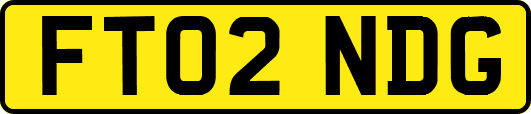 FT02NDG