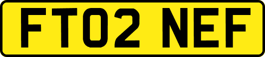FT02NEF