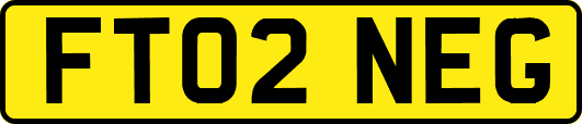 FT02NEG