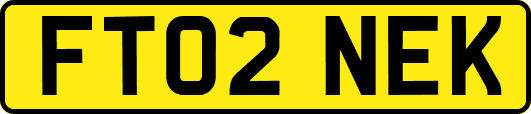FT02NEK