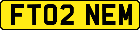 FT02NEM