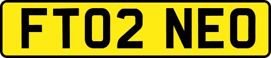 FT02NEO