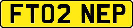 FT02NEP