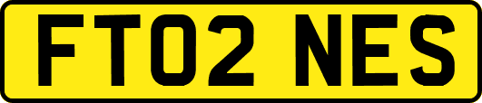 FT02NES