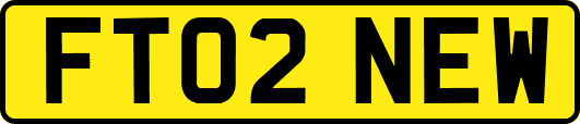FT02NEW