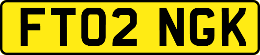 FT02NGK