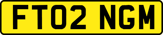 FT02NGM