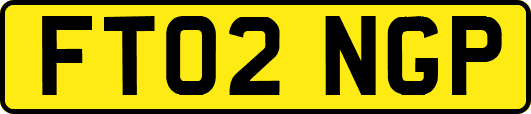FT02NGP