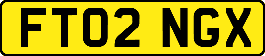 FT02NGX