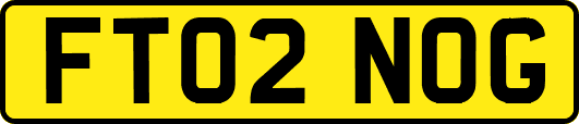 FT02NOG