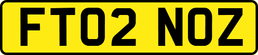 FT02NOZ