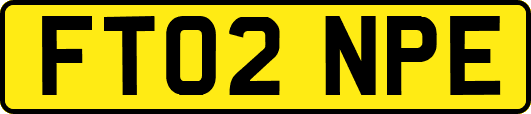 FT02NPE