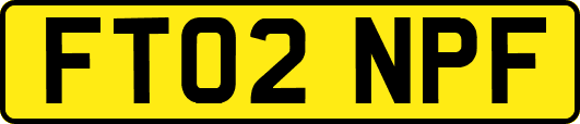 FT02NPF