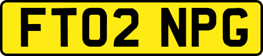 FT02NPG