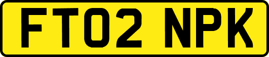 FT02NPK