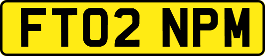 FT02NPM