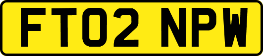 FT02NPW