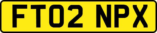 FT02NPX