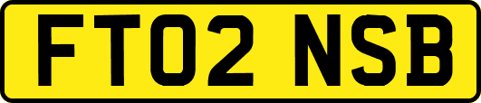 FT02NSB