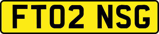 FT02NSG