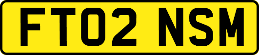 FT02NSM
