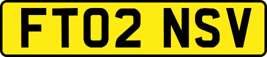 FT02NSV