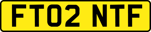 FT02NTF