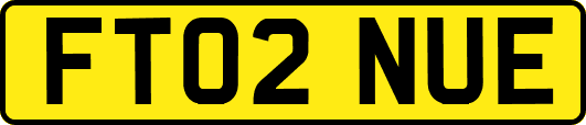 FT02NUE