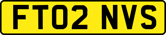 FT02NVS