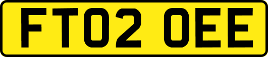 FT02OEE