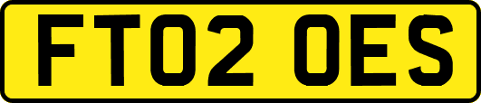 FT02OES