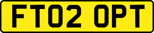 FT02OPT