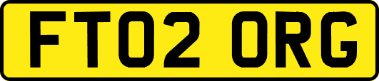 FT02ORG