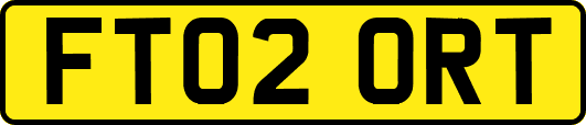 FT02ORT