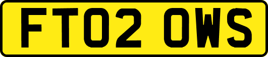 FT02OWS