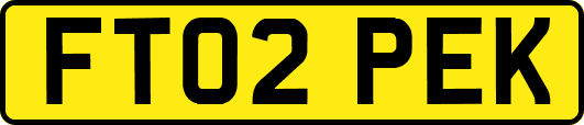 FT02PEK