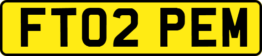 FT02PEM