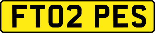 FT02PES