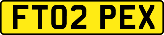 FT02PEX