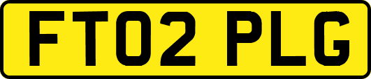 FT02PLG