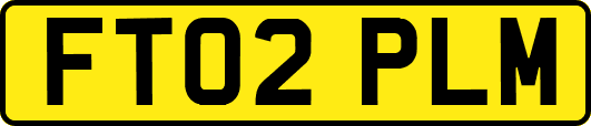 FT02PLM